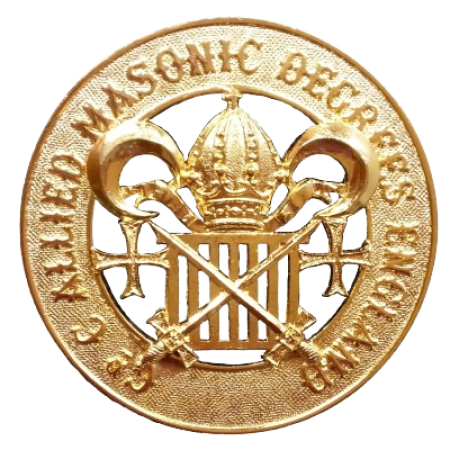 amd12-removebg-preview