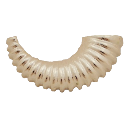 sc14_1-removebg-preview