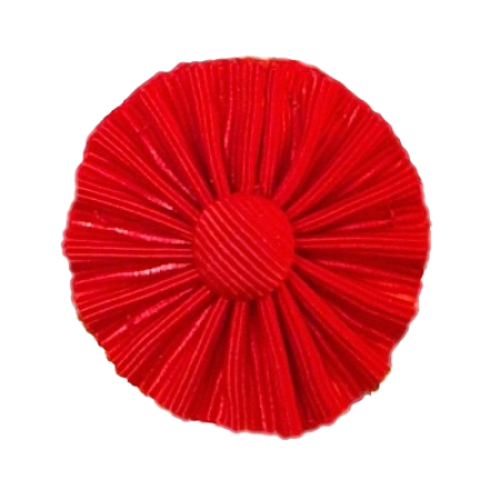 sc35-removebg-preview